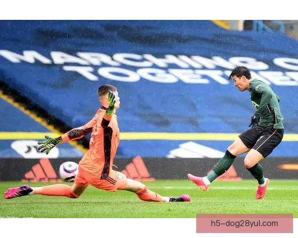 谢林汉姆称基恩因卡里克被忽视