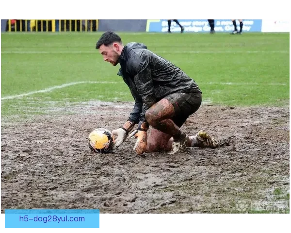 泥泞如诺曼底登陆的狼队足总杯